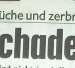 20121223_kronenzeitung