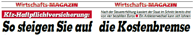 kronen_zeitung_header_03-2014